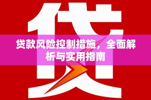 罗源贷款风险控制措施，全面解析与实用指南