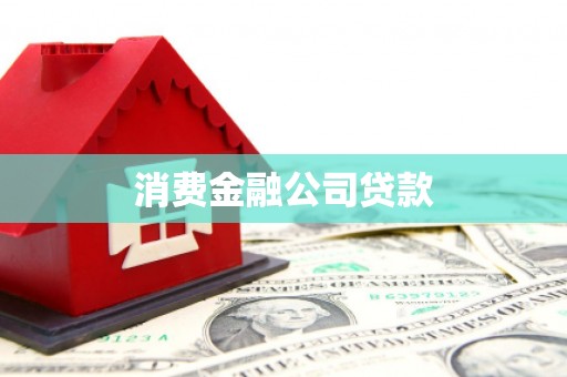 罗源消费金融公司贷款