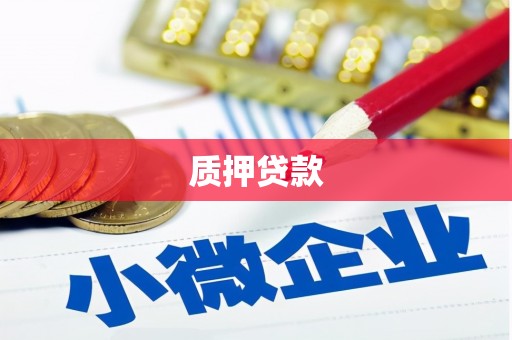 罗源质押贷款
