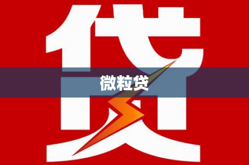 罗源微粒贷