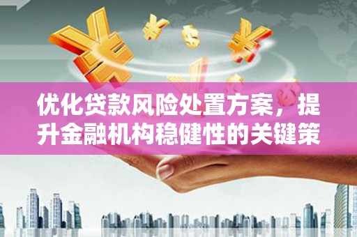 罗源优化贷款风险处置方案，提升金融机构稳健性的关键策略
