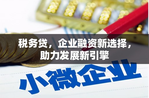 罗源税务贷，企业融资新选择，助力发展新引擎