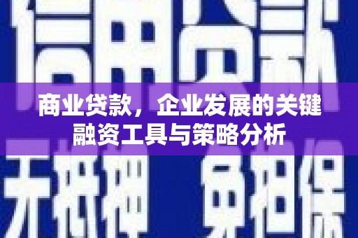 罗源商业贷款，企业发展的关键融资工具与策略分析