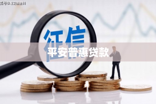 罗源平安普惠贷款