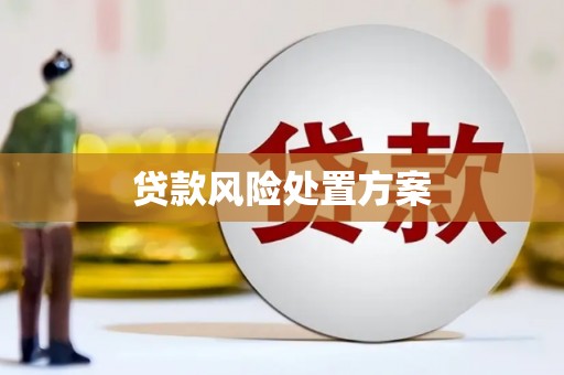 罗源贷款风险处置方案