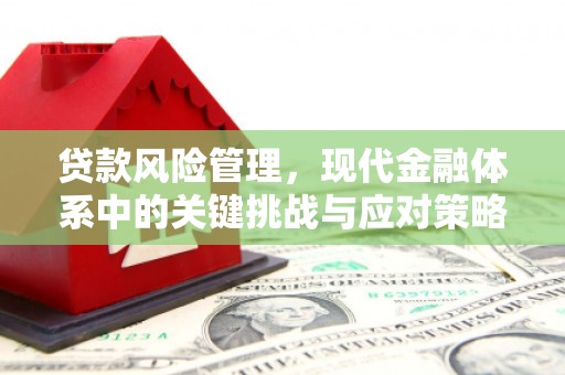 罗源贷款风险管理，现代金融体系中的关键挑战与应对策略