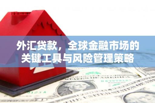 罗源外汇贷款，全球金融市场的关键工具与风险管理策略