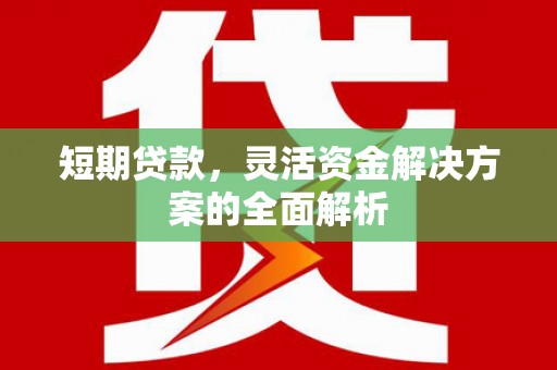 罗源短期贷款，灵活资金解决方案的全面解析