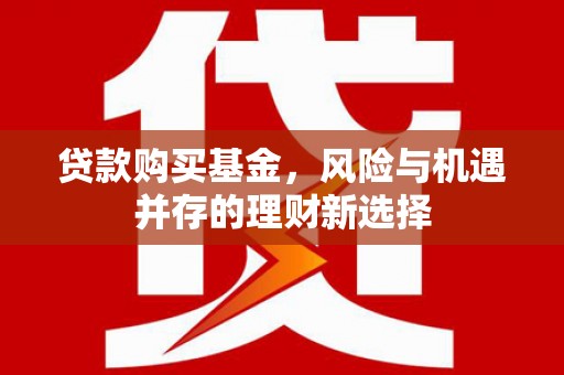 罗源贷款购买基金，风险与机遇并存的理财新选择