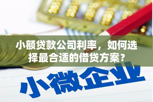 罗源小额贷款公司利率，如何选择最合适的借贷方案？