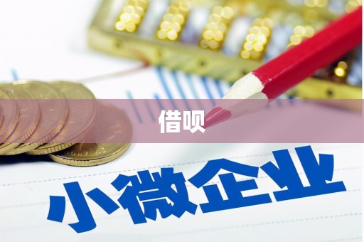 罗源借呗