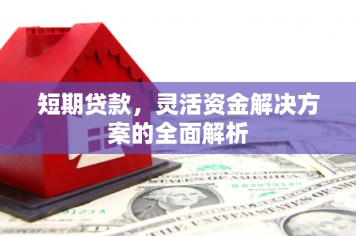 罗源短期贷款，灵活资金解决方案的全面解析