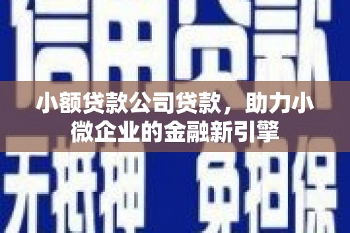 罗源小额贷款公司贷款，助力小微企业的金融新引擎