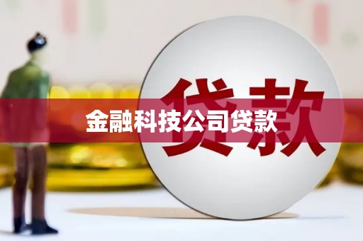 罗源金融科技公司贷款