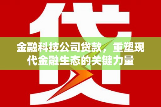 罗源金融科技公司贷款，重塑现代金融生态的关键力量