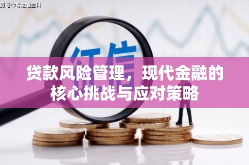 罗源贷款风险管理，现代金融的核心挑战与应对策略