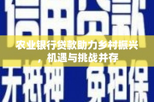 罗源农业银行贷款助力乡村振兴，机遇与挑战并存