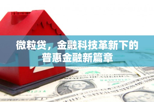 罗源微粒贷，金融科技革新下的普惠金融新篇章