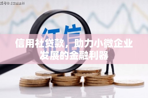 罗源信用社贷款，助力小微企业发展的金融利器
