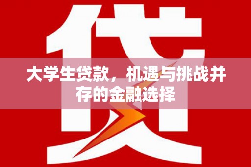 罗源大学生贷款，机遇与挑战并存的金融选择