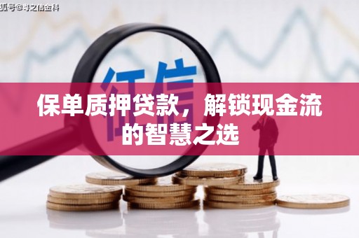 罗源保单质押贷款，解锁现金流的智慧之选