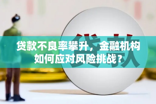 罗源贷款不良率攀升，金融机构如何应对风险挑战？