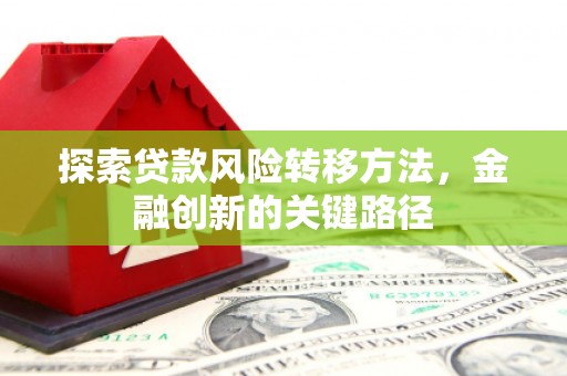 罗源探索贷款风险转移方法，金融创新的关键路径