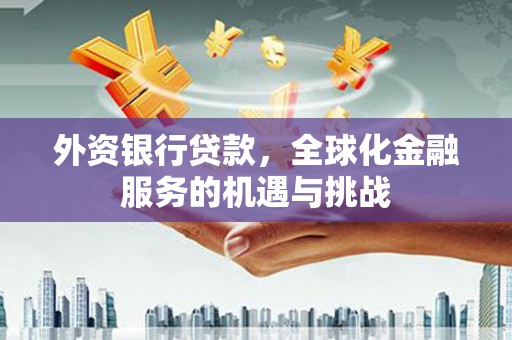 罗源外资银行贷款，全球化金融服务的机遇与挑战