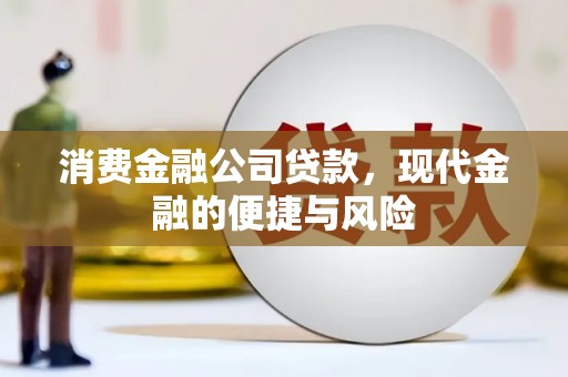 罗源消费金融公司贷款，现代金融的便捷与风险