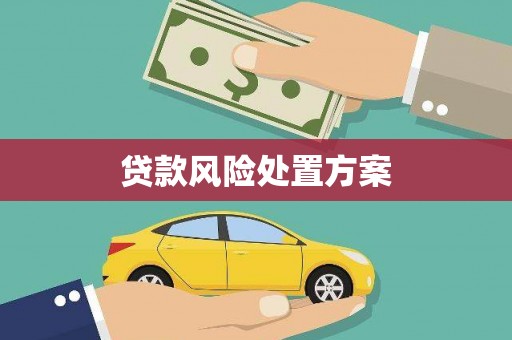 罗源贷款风险处置方案